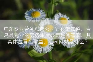 广东专业劳务派遣公司？有谁知道，青岛最专业的劳务派遣公司是哪家啊。其具体位置在那里，公司网站是什么？