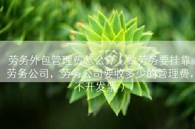 劳务外包管理费怎么算（做劳务要挂靠劳务公司，劳务公司要收多少的管理费，不开发票）