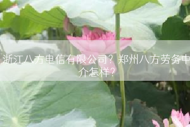 浙江八方电信有限公司？郑州八方劳务中介怎样？