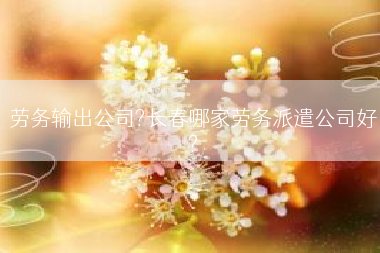 劳务输出公司?长春哪家劳务派遣公司好?