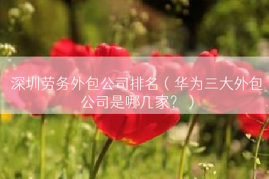 深圳劳务外包公司排名（华为三大外包公司是哪几家？）