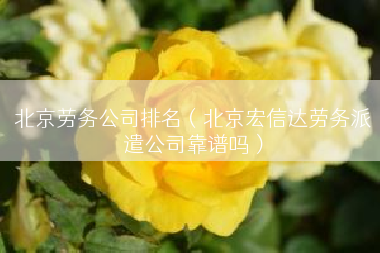 北京劳务公司排名（北京宏信达劳务派遣公司靠谱吗）
