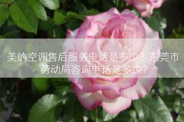 美的空调售后服务电话是多少？东莞市劳动局咨询电话是多少？
