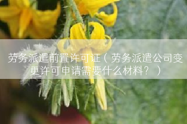 劳务派遣前置许可证（劳务派遣公司变更许可申请需要什么材料？）