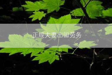 正规夫妻出国劳务