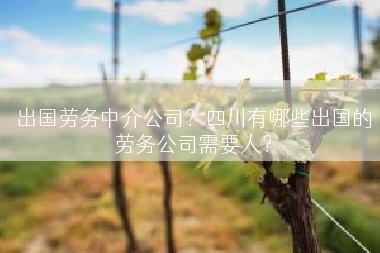 出国劳务中介公司？四川有哪些出国的劳务公司需要人？