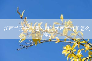 新西兰劳务派遣公司？新西兰打工怎么样？