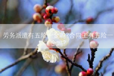 劳务派遣有五险一金吗?合同工有五险一金吗?