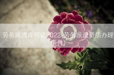 劳务派遣许可证2022(劳务派遣资质办理条件)