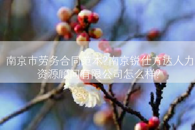 南京市劳务合同范本?南京锐仕方达人力资源顾问有限公司怎么样?