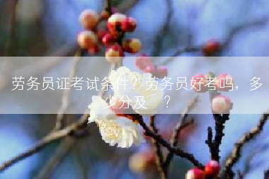 劳务员证考试条件？劳务员好考吗，多少分及	</div>
				<div class=
