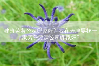 建筑劳务公司哪家好？我在天津要找一家劳务派遣公司哪家好？