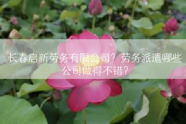 长春启新劳务有限公司？劳务派遣哪些公司做得不错？