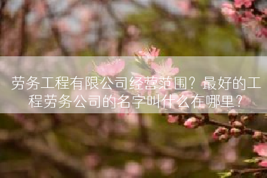 劳务工程有限公司经营范围？最好的工程劳务公司的名字叫什么在哪里？