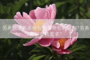 劳务派遣劳务外包业务外包的区别?劳务外包资质要求?