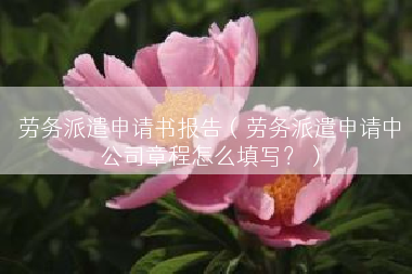 劳务派遣申请书报告（劳务派遣申请中公司章程怎么填写？）