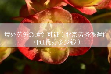 境外劳务派遣许可证（北京劳务派遣许可证代办多少钱）