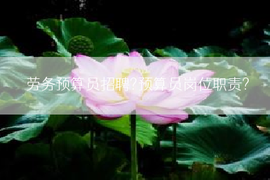 劳务预算员招聘?预算员岗位职责?