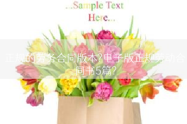正规的劳务合同版本?电子版正规劳动合同书5篇?
