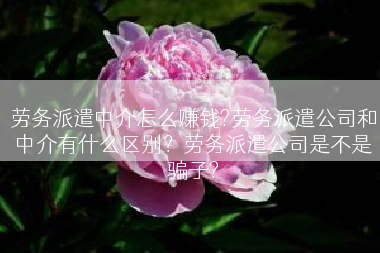 劳务派遣中介怎么赚钱?劳务派遣公司和中介有什么区别？劳务派遣公司是不是骗子?