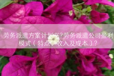 劳务派遣方案计划书?劳务派遣公司盈利模式（特点、收入及成本）?