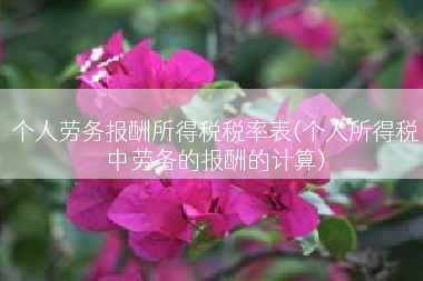个人劳务报酬所得税税率表(个人所得税中劳务的报酬的计算)