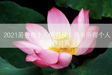 2021劳务费个人所得税（劳务所得个人所得税计算）