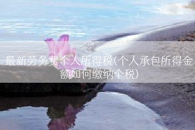 最新劳务费个人所得税(个人承包所得金额如何缴纳个税)
