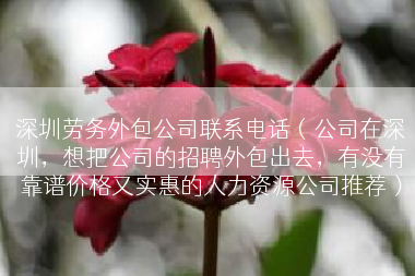 深圳劳务外包公司联系电话（公司在深圳，想把公司的招聘外包出去，有没有靠谱价格又实惠的人力资源公司推荐）