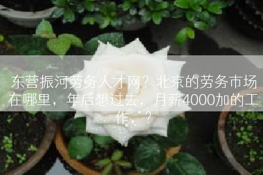 东营振河劳务人才网？北京的劳务市场在哪里，年后想过去，月薪4000加的工作，？