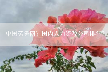 中国劳务网？国内人力资源公司排名？