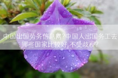 中国出国劳务信息网?中国人出国务工去哪些国家比较好,不受歧视?