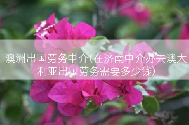 澳洲出国劳务中介(在济南中介办去澳大利亚出国劳务需要多少钱)