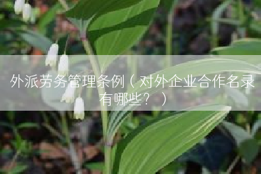 外派劳务管理条例（对外企业合作名录有哪些？）