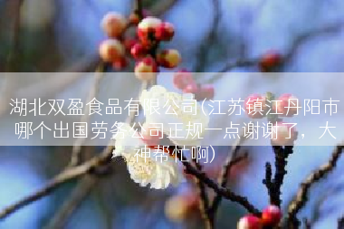 湖北双盈食品有限公司(江苏镇江丹阳市哪个出国劳务公司正规一点谢谢了，大神帮忙啊)