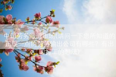 中国劳务派遣市场(请问一下您所知道的正规一点的劳务输出公司有哪些？有出国打工的想法)