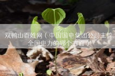 双鸭山百姓网（中国国电集团公司主管全国电力的哪个方面）