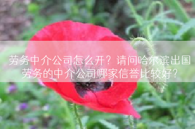 劳务中介公司怎么开？请问哈尔滨出国劳务的中介公司哪家信誉比较好？