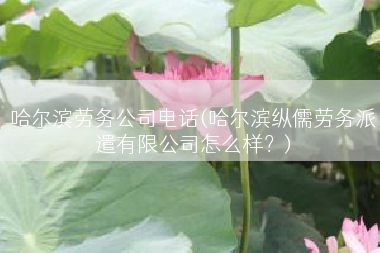 哈尔滨劳务公司电话(哈尔滨纵儒劳务派遣有限公司怎么样？)