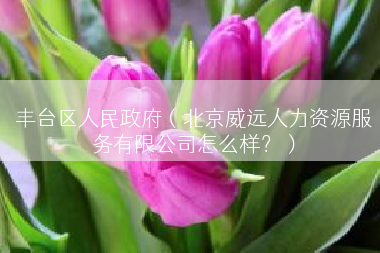 丰台区人民政府（北京威远人力资源服务有限公司怎么样？）