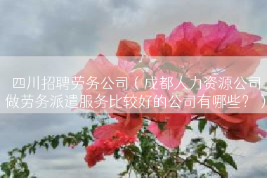 四川招聘劳务公司（成都人力资源公司做劳务派遣服务比较好的公司有哪些？）