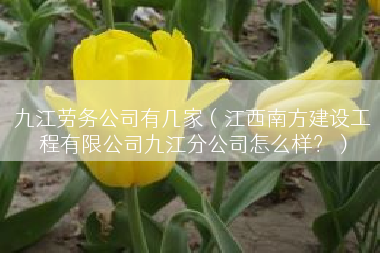 九江劳务公司有几家（江西南方建设工程有限公司九江分公司怎么样？）