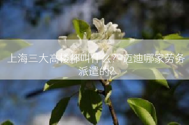 上海三大高楼都叫什么?褔迈迪哪家劳务派遣的?