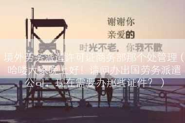 境外劳务派遣许可证商务部那个处管理（哈喽大家晚上好！请问办出国劳务派遣公司，现在需要办那些证件？）