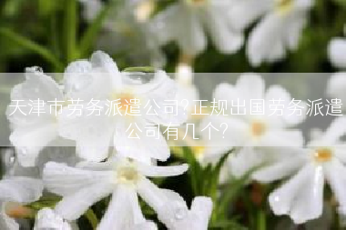 天津市劳务派遣公司?正规出国劳务派遣公司有几个?