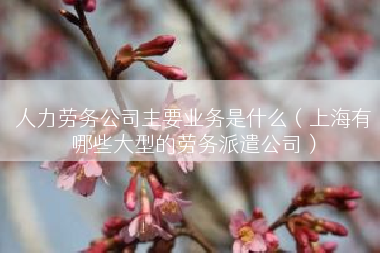 人力劳务公司主要业务是什么（上海有哪些大型的劳务派遣公司）