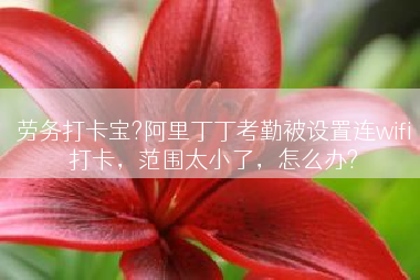 劳务打卡宝?阿里丁丁考勤被设置连wifi打卡，范围太小了，怎么办?