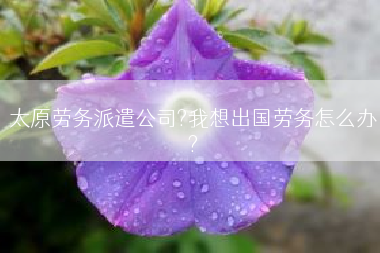 太原劳务派遣公司?我想出国劳务怎么办?