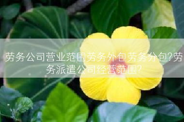 劳务公司营业范围劳务外包劳务分包?劳务派遣公司经营范围?