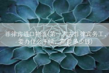 菲律宾进口物流(第一次去菲律宾务工，要办什么手续，需要多少钱)
